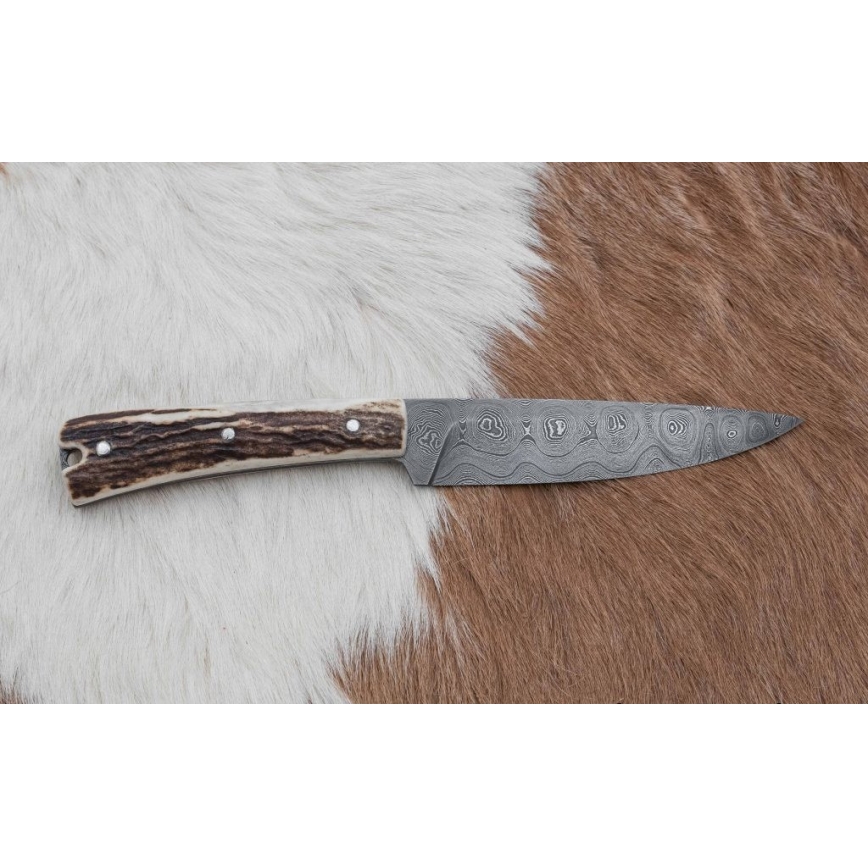 Jachtmes 12 cm herten gewei