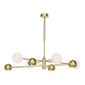 Jupiter 1968 - Hanglamp met vaste pendel MOKA 4xGU10/10W/230V + 4xG9/10W/230V goud/wit