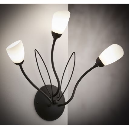 Jupiter 2059 - Wandlamp GLORIOSA 3xG9/14W/230V zwart