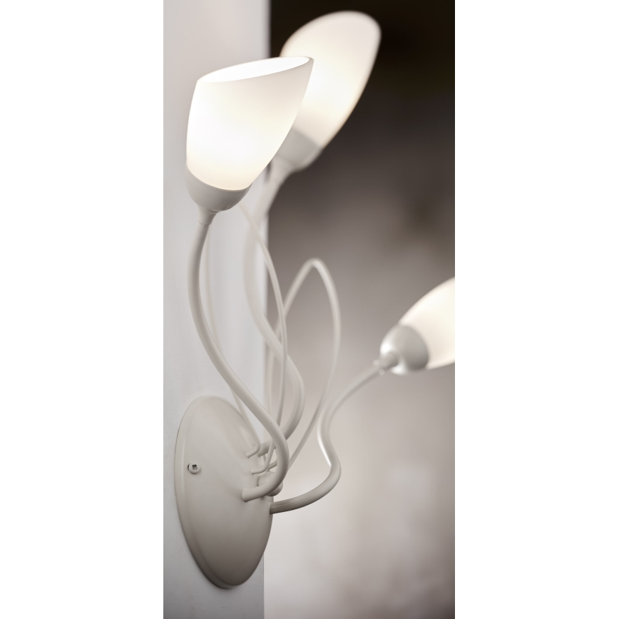 Jupiter 2064 - Applique murale GLORIOSA 3xG9/14W/230V crème