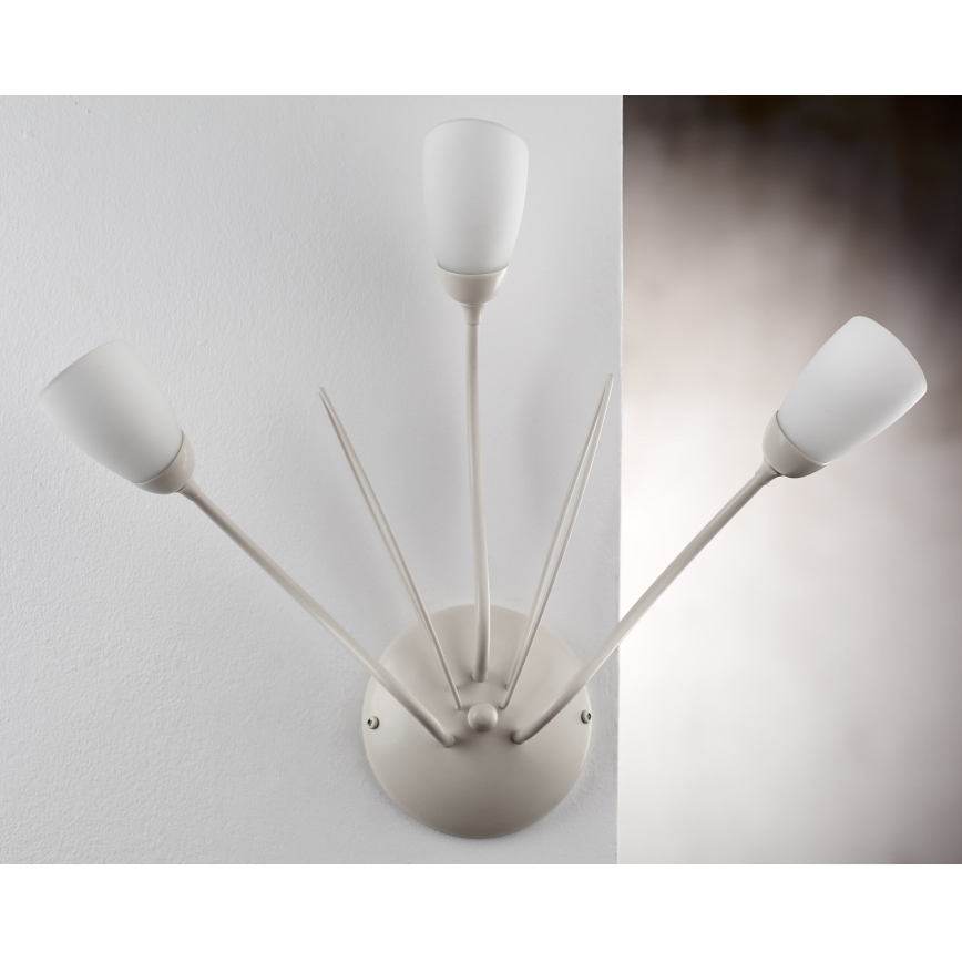 Jupiter 2064 - Wandlamp GLORIOSA 3xG9/14W/230V crème