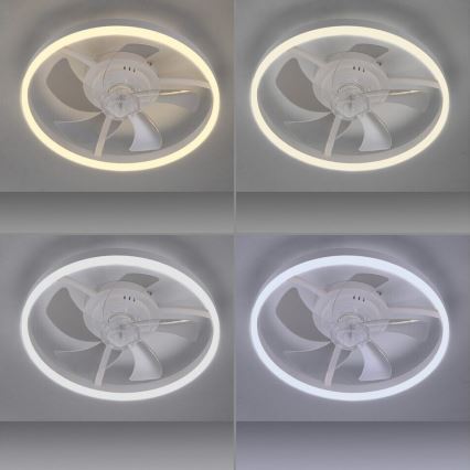 JUST LIGHT. 14624-16 - Ventilateur de plafond LED à intensité réglable avec éclairage RITA LED/22W/230V 3000-6000K Ø 50 cm blanc + télécommande