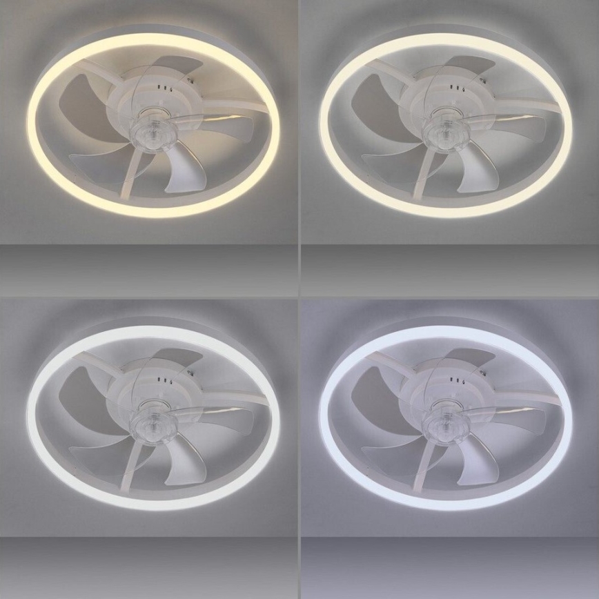 JUST LIGHT. 14624-16 - Ventilateur de plafond LED à intensité réglable avec éclairage RITA LED/22W/230V 3000-6000K Ø 50 cm blanc + télécommande
