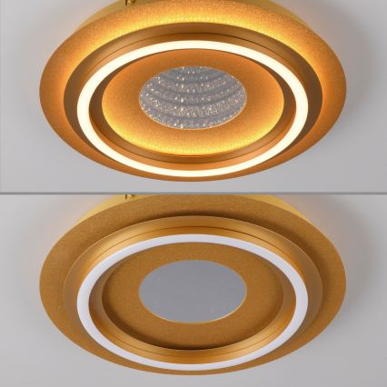 JUST LIGHT. 15089-60 - LED plafondlamp CICHIO LED/36W/230V Ø 40 cm goudkleurig