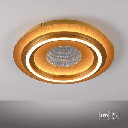 JUST LIGHT. 15089-60 - LED plafondlamp CICHIO LED/36W/230V Ø 40 cm goudkleurig