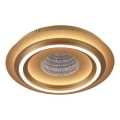 JUST LIGHT. 15089-60 - Plafonnier LED CICHIO LED/36W/230V Ø 40 cm doré