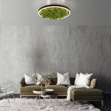 JUST LIGHT. 15391-66 - Plafonnier à intensité variable VERT RITU LED/20W/230V