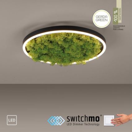 JUST LIGHT. 15391-66 - Plafonnier à intensité variable VERT RITU LED/20W/230V