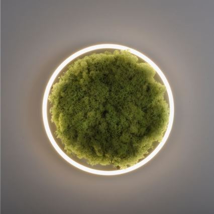 JUST LIGHT. 15391-66 - Plafonnier à intensité variable VERT RITU LED/20W/230V