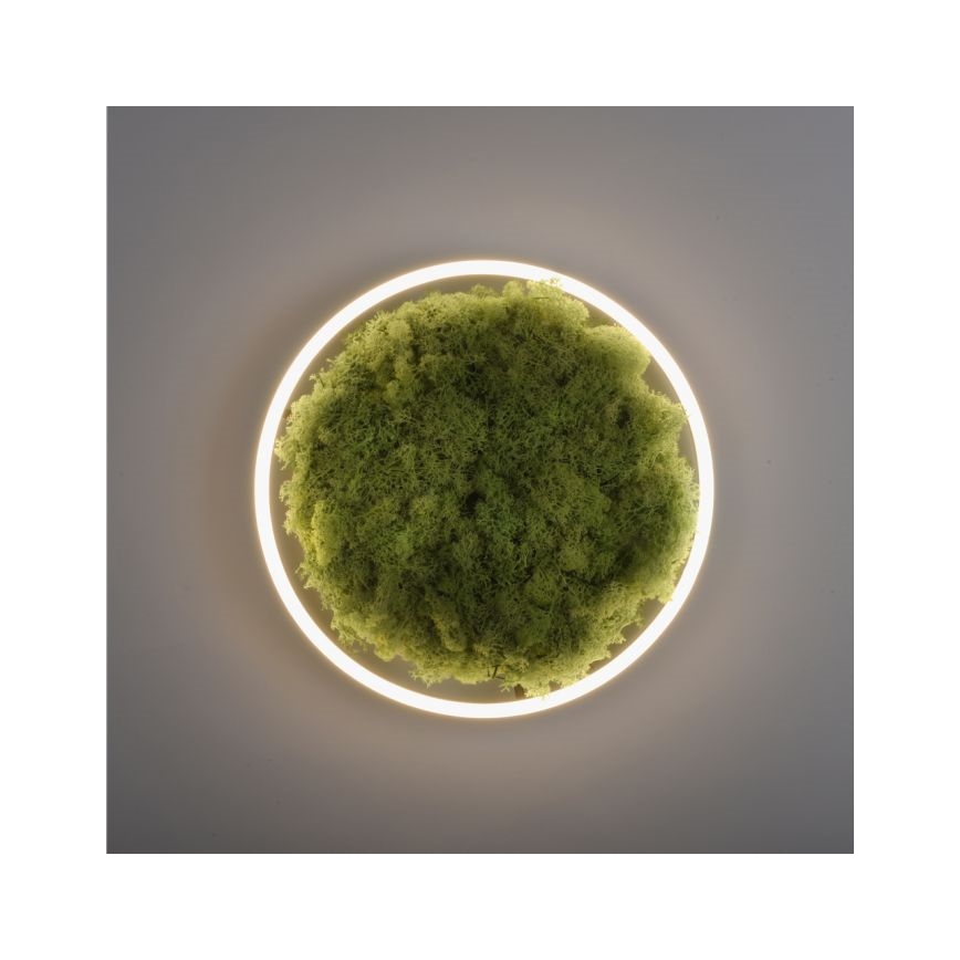 JUST LIGHT. 15391-66 - Plafonnier à intensité variable VERT RITU LED/20W/230V