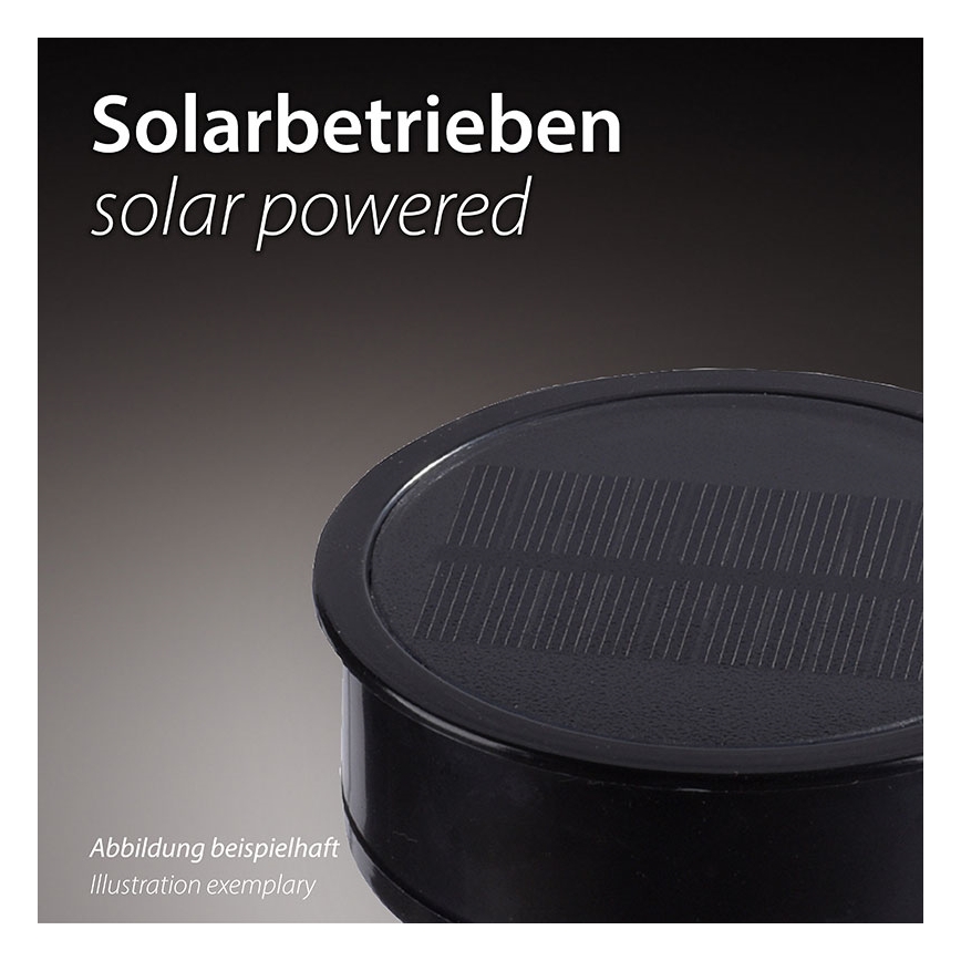 JUST LIGHT. 19106-18-3 - LOT 3x Éclairage solaire FACKEL LED/0,24W/1,2V 200 mAh IP44 noir