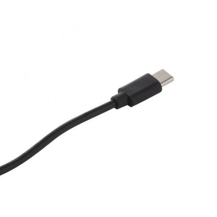 JUST LIGHT. 19260-18 - LED Dimbaar aanraken buitenshuis lamp ABERA LED/3W/3,7V 2000 mAh USB IP54 zwart