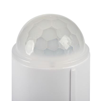 LED-plafondlamp met bewegings- en schemersensor FOGLER LED/24W/230V Ø 38 cm