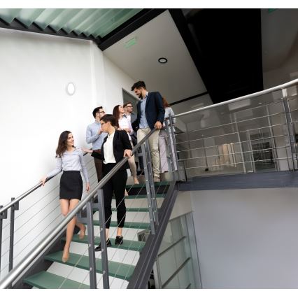 LED plafond/inbouwarmatuur 2-in-1 ERGA LED/17W/230V 3000/4000/6500K zwart