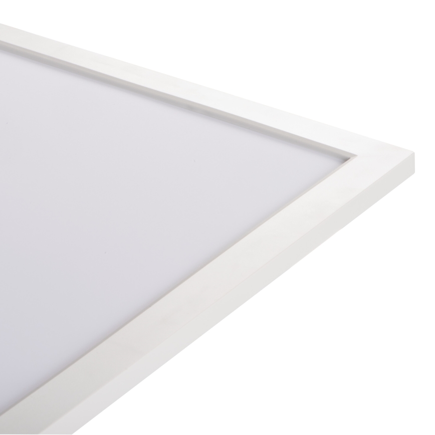 LED-Plafondpaneel BAREV ECO LED/36W/230V 4000K 60x60 cm