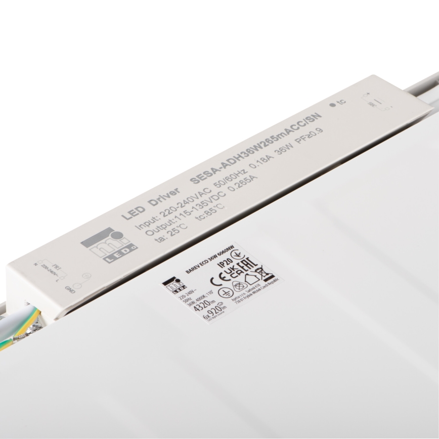 LED-Plafondpaneel BAREV ECO LED/36W/230V 4000K 60x60 cm