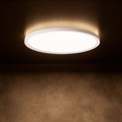 Plafonnier LED AZPO LED/11,8W/230V 3000/4000/6000K Ø 22,5 cm IP54 blanc