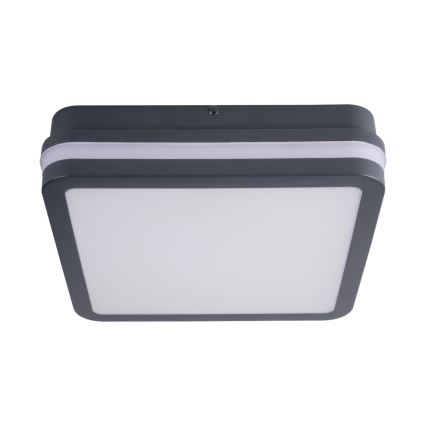 LED Buitenverlichting met sensor BENO LED/18W/230V 4000K IP54 antraciet