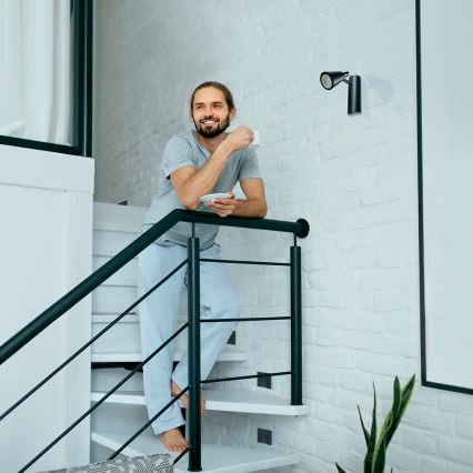 LED-trapverlichting ERINUS LED/0,8 W/12 V 4000 K zwart