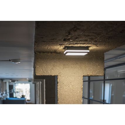 LED Plafond Lamp voor Buiten met Sensor BENO LED/24W/230V 4000K antraciet IP54