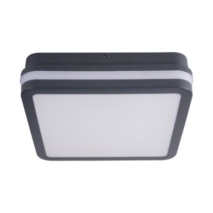 Plafonnier LED extérieur avec détecteur BENO LED/24W/230V 4000K IP54 anthracite