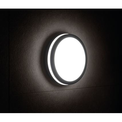 Plafonnier LED extérieur BENO LED/18W/230V 4000K anthracite IP54