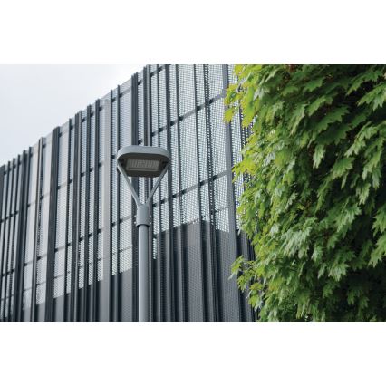 LED Straatlantaarn PARCOLI LED/30/40/50W/230V 3000/4000/6500K IP66 grijs