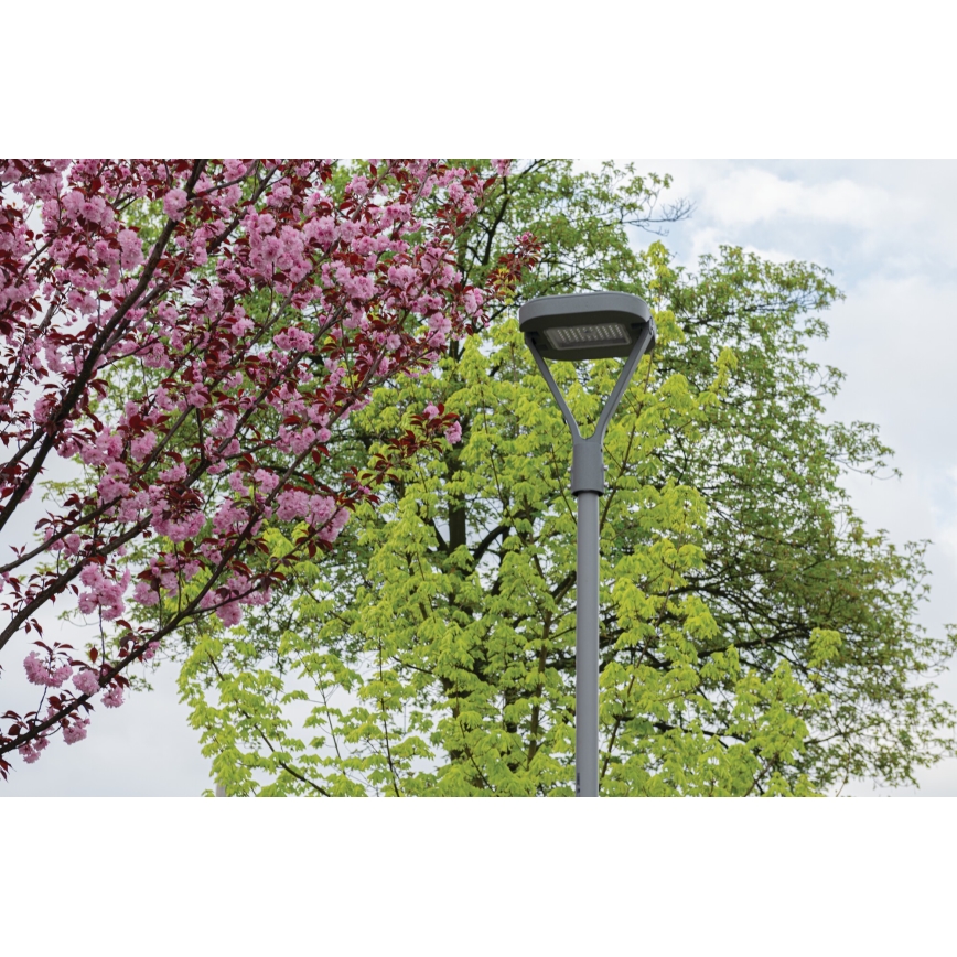LED Straatlantaarn PARCOLI LED/30/40/50W/230V 3000/4000/6500K IP66 grijs