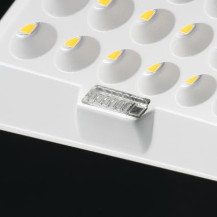 LED dimbare schijnwerper met een zonnepaneel en dusk sensor LED/10W/10000 mAh 3,2V IP65 + afstandsbediening