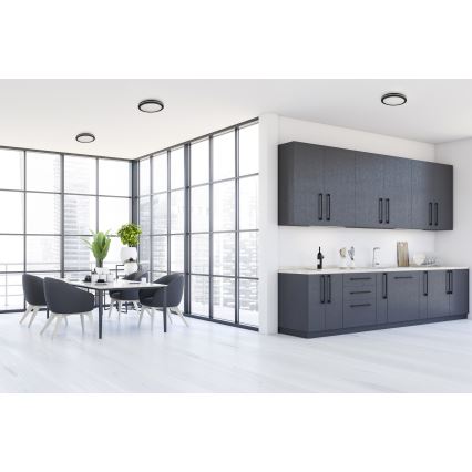 Plafonnier extérieur BENO ECO LED/20W/230V 3000/4000/6500K d. 20 cm IP65 noir