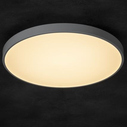 Plafonnier à intensité variable PLAFON LED/20W/230V 3000-6500K Wi-Fi blanc