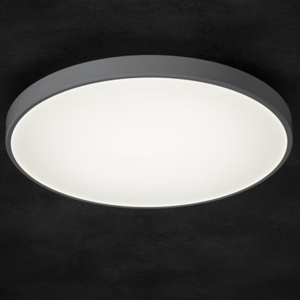 Plafonnier à intensité variable PLAFON LED/20W/230V 3000-6500K Wi-Fi blanc