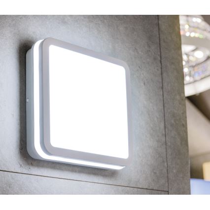 Plafonnier extérieur BENO LED/12/18W/230V 3000/3500/4000K IP65 blanc carré
