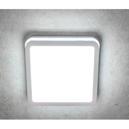 Plafonnier extérieur BENO LED/12/18W/230V 3000/3500/4000K IP65 blanc carré