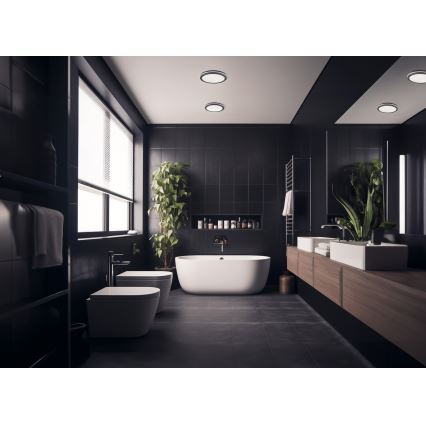 Plafonnier extérieur BENO LED/24/30W/230V 3000/3500/4000K IP65 anthracite arrondi
