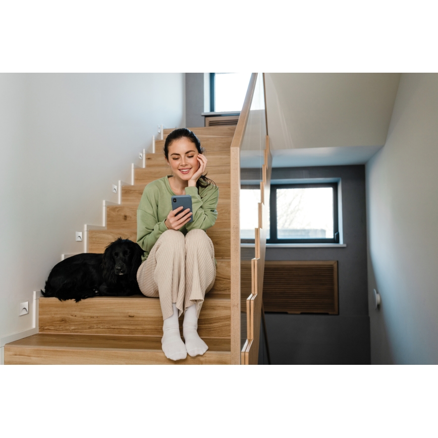Luminaire d'escalier LED EXIN LED/2,5W/230V 3000K IP65 blanc angulaire