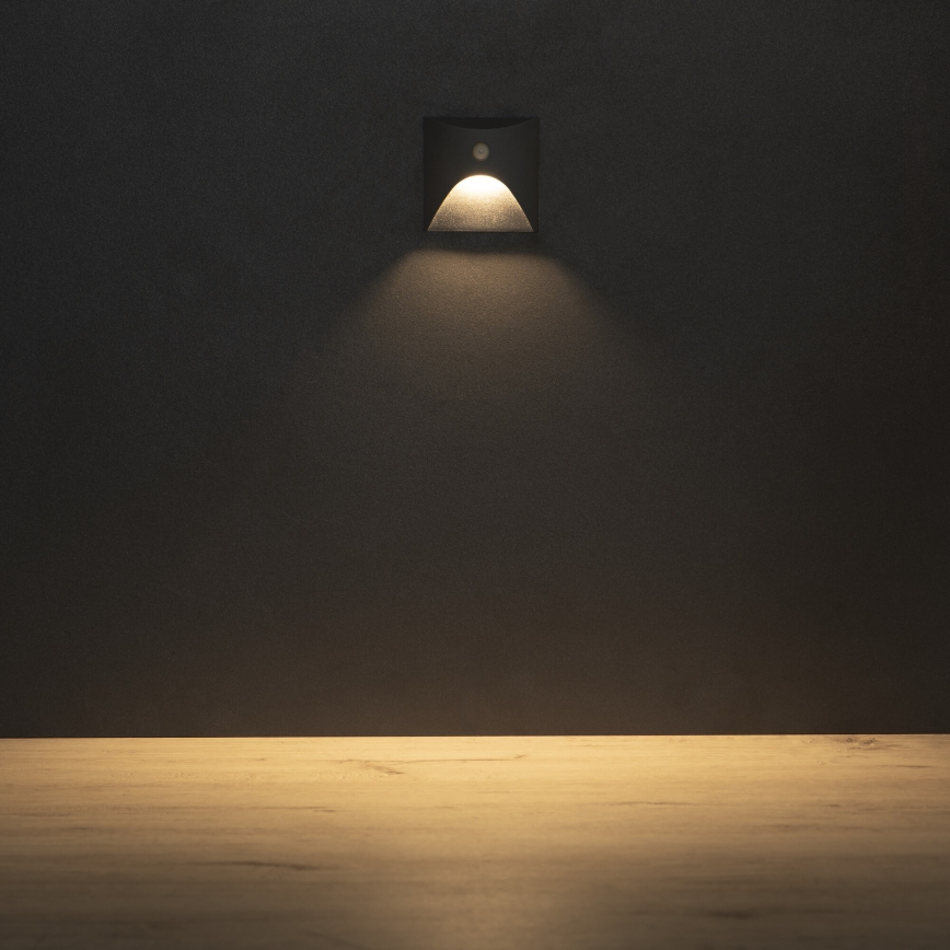Luminaire d'escalier LED avec détecteur de mouvement et détecteur crépusculaire EXIN LED/2,5W/230V 3000K IP65 anthracite carré