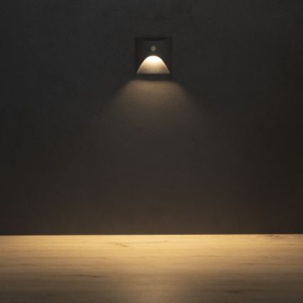LED trapverlichting met bewegings- en schemersensor EXIN LED/2,5W/230V 3000K IP65 antraciet vierkant