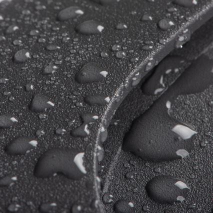 LED trapverlichting EXIN LED/2,5W/230V 4000K IP65 antraciet rond