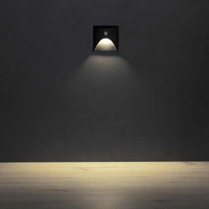 LED-trapverlichting met bewegings- en schemersensor EXIN LED/2,5W/230V 4000K IP65 zwart, vierkant