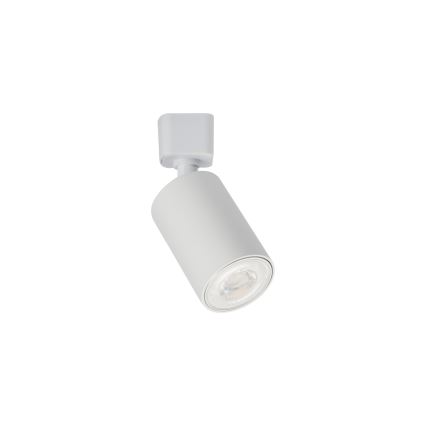 Spotarmatuur voor railsysteem ALTEAR 3xGU10/10W/230V 1m wit