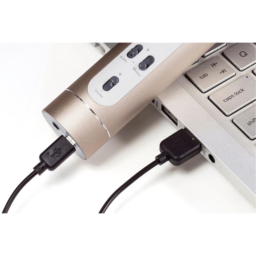 Karaoke-microfoon 6W/5V 1500 mAh Bluetooth goud