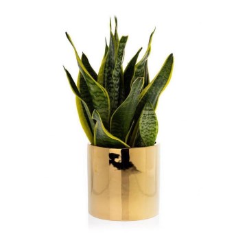 Keramische Bloempot FLORA 15x15 cm goud
