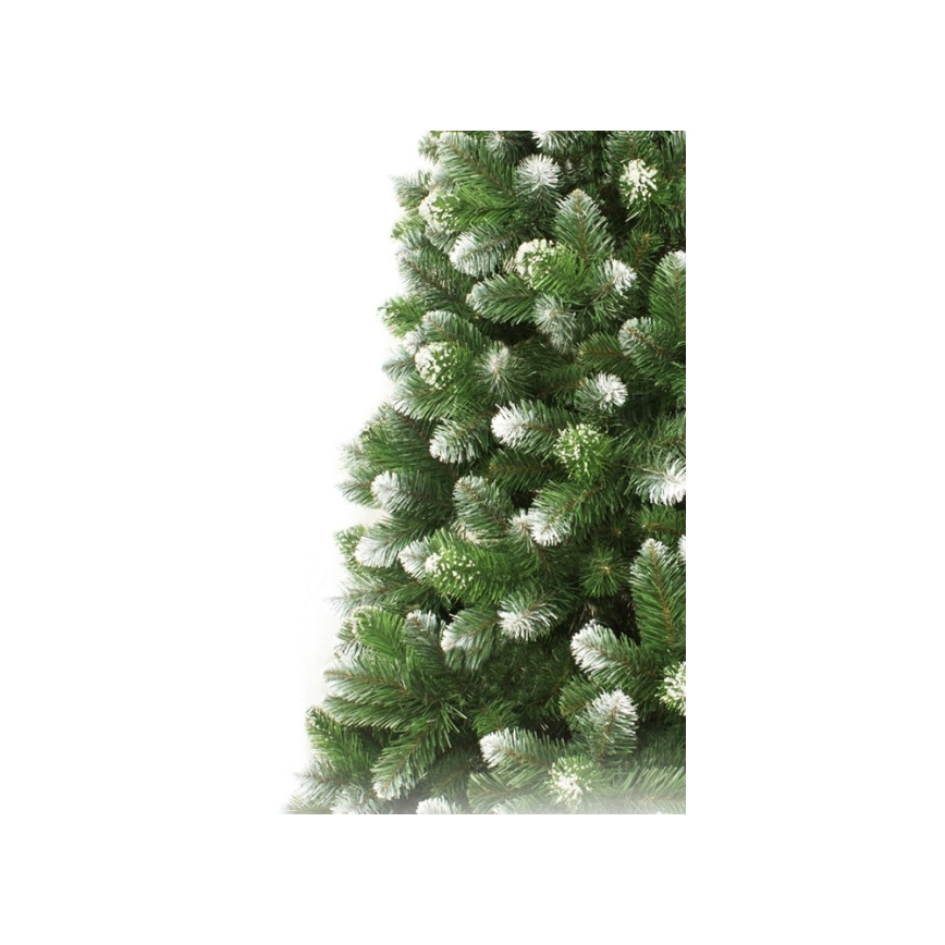 Kerstboom 220 cm – spar