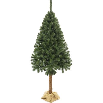 Kerstboom op een stam 160 cm spar
