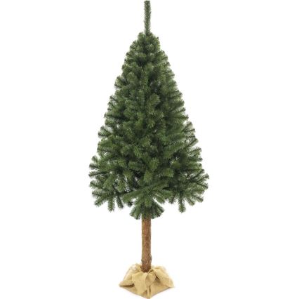 Kerstboom op een stam 220 cm spar