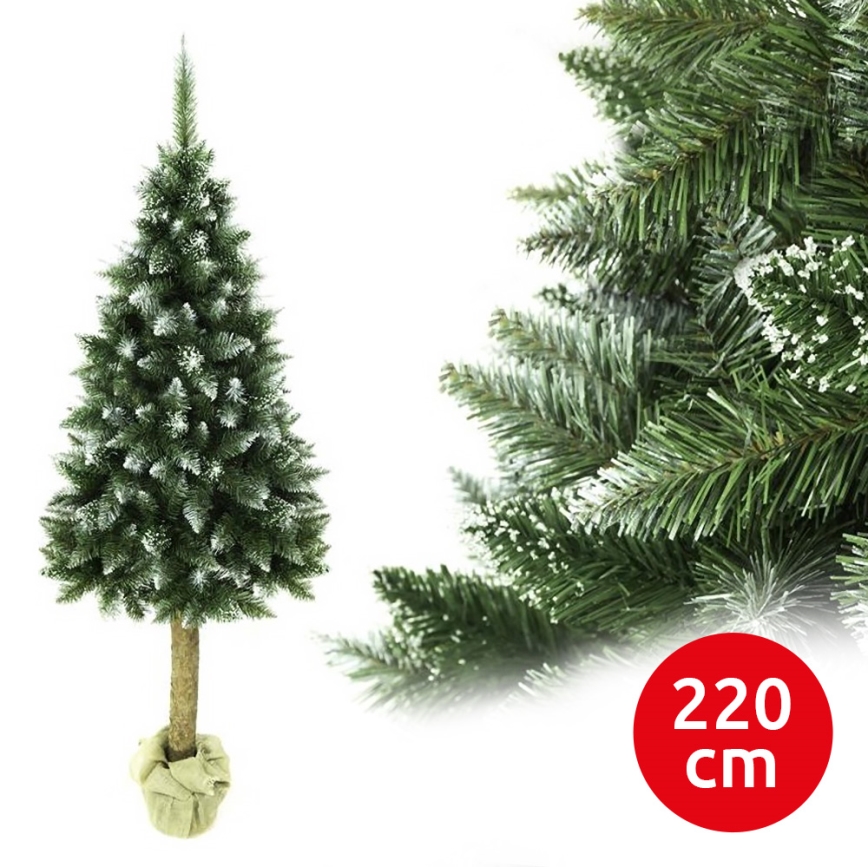 Kerstboom op een stam 220 cm spar