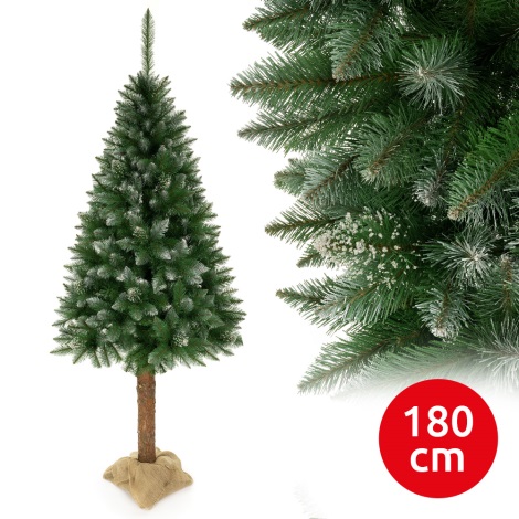 Kerstboom op een verhoging 180 cm spar