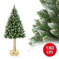 Kerstboom op stam 180 cm den