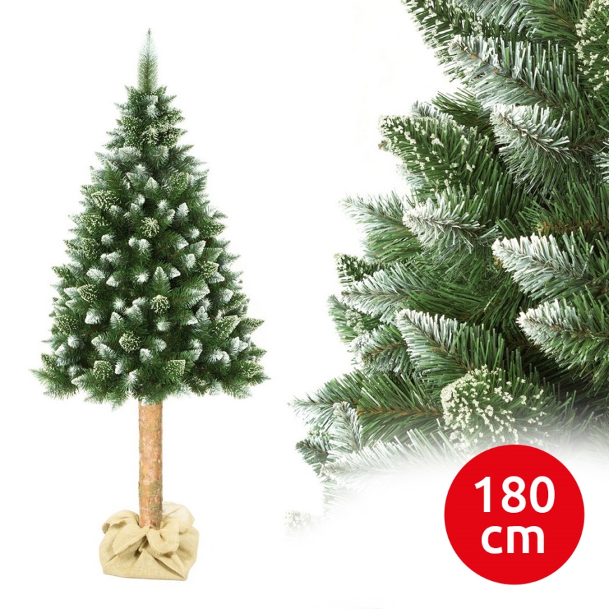 Kerstboom op stam 180 cm den